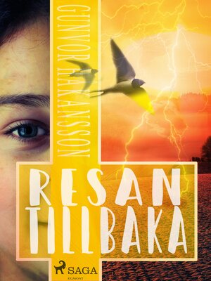 cover image of Resan tillbaka